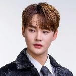 박서진