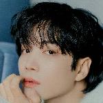김종현 - K-셀럽 영향력 #1236