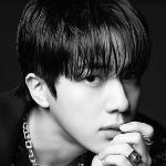 진